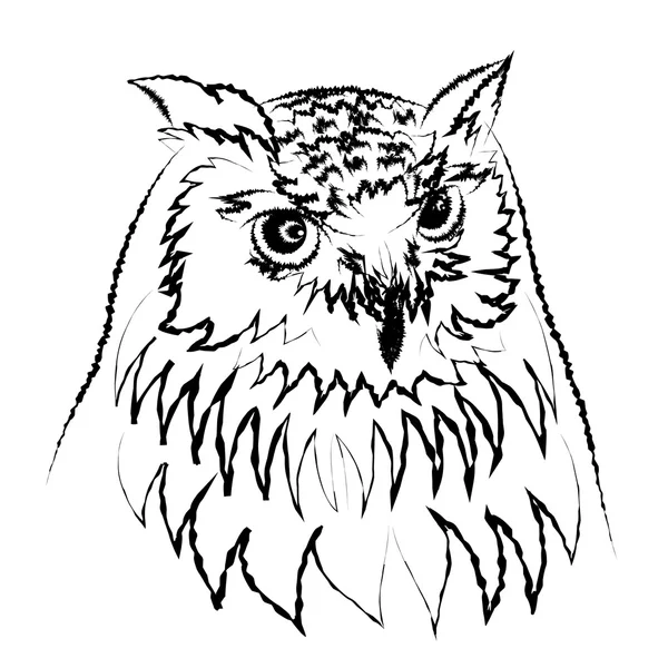 Gufo reale siberiano, o Bubo bubo sibiricus.vector — Vettoriale Stock