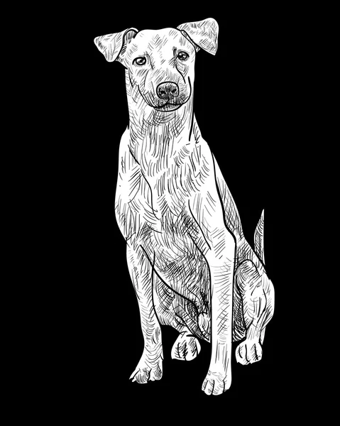 Perro marrón sentado — Vector de stock