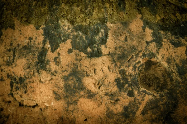 Background and texture of old foam — Stock Photo, Image