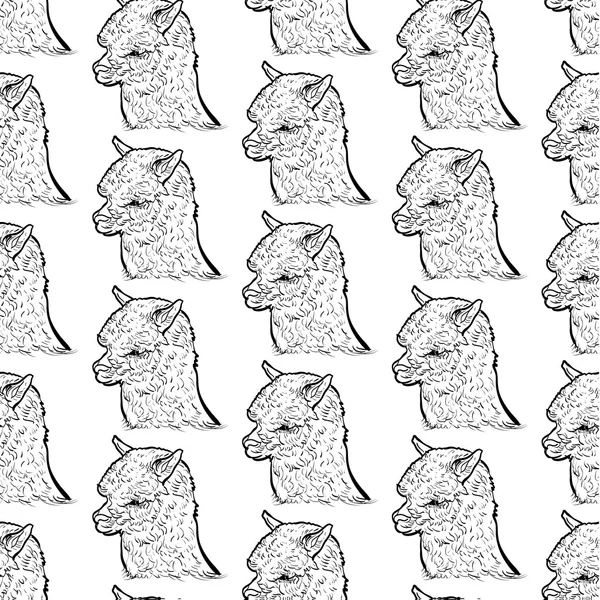 Patrón sin costura de alpaca — Archivo Imágenes Vectoriales