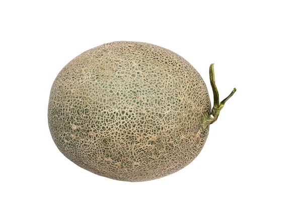 Melón — Foto de Stock