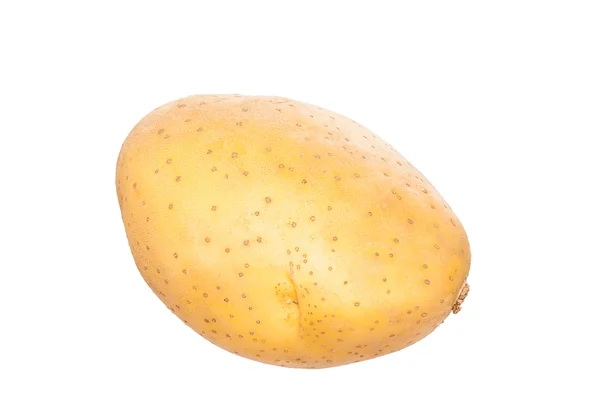白で分離されたジャガイモ — ストック写真