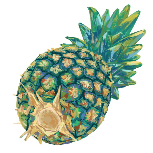 Pineapple Isolated White Digital Painting — Photo