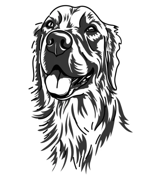 Desenho Arte Linha Cão Labrador Retriever Isolado Branco Ilustração Vetorial — Vetor de Stock