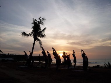 Sunset beach, insanlar, gevşeme, rahatla, stand, palmiye ağacı, siluet, yoga egzersiz, güzel
