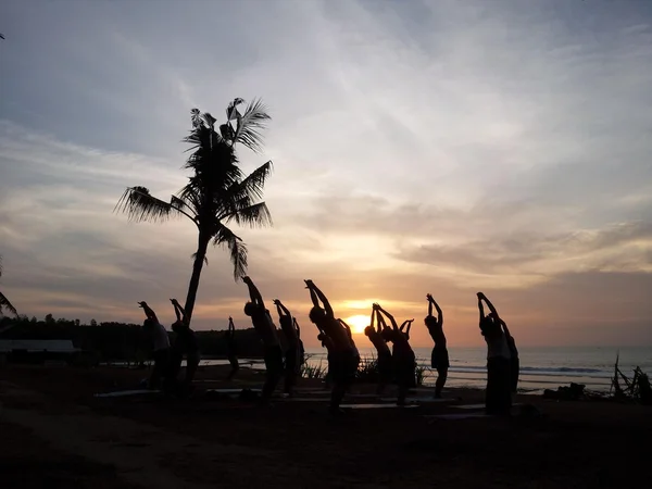 Sunset beach, insanlar, gevşeme, rahatla, stand, palmiye ağacı, siluet, yoga egzersiz, güzel Telifsiz Stok Imajlar