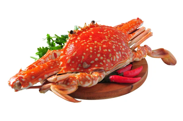 Červené dušené krab modrý izolovaných na bílém pozadí — Stock fotografie