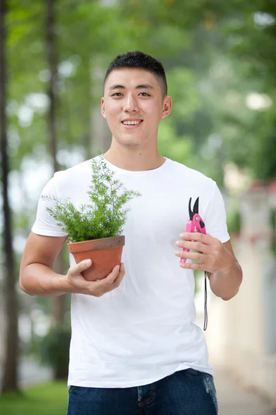 genç yakışıklı Asya öğrenci gülümseme, portresi trim toprak kap içinde bir bitki