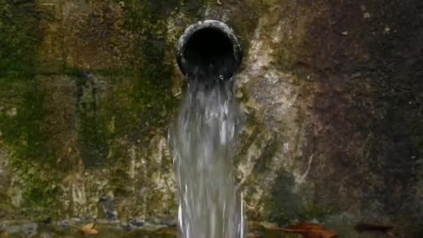 Fuente de agua de manantial Otoño Primer plano Video 4k — Vídeo de stock