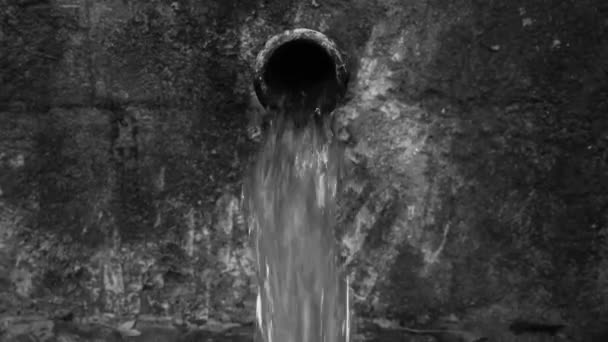 Spring Water Fountain Sonbahar Siyah ve Beyaz Video 4k — Stok video