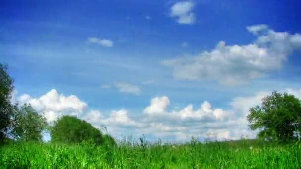 Wolken en gras time-lapse — Stockvideo