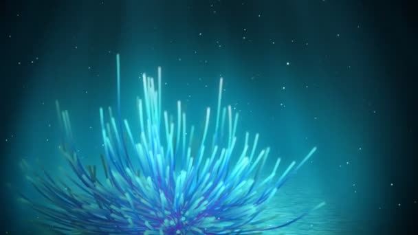 Onderwater feather star lus — Stockvideo