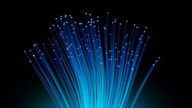 Fiber optik döngü