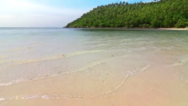 Nadmorskiej plaży pętli — Wideo stockowe