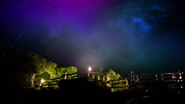 Ciel nocturne et arbres time lapse — Video