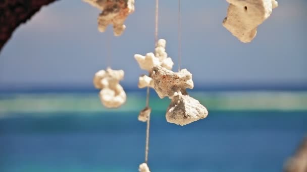 Sea decorations — Stock Footage Sea decorations Royalty Free Stock Video