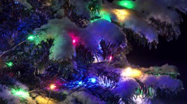 Geceleri şenlikli ışıkları olan bir Noel ağacı dalına yakın çekim.