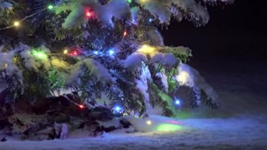Yılbaşı ağacının alt dalında gece festival ışıkları var.