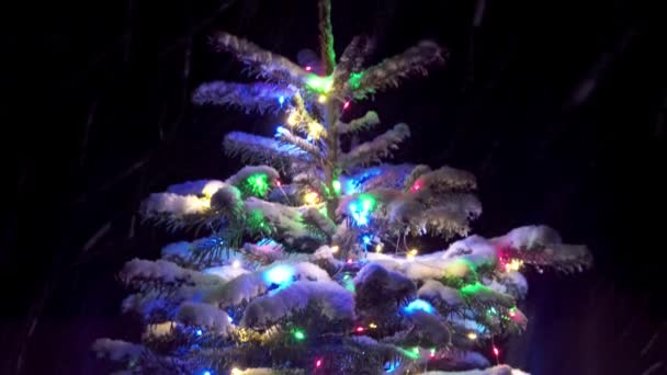 Panorama van kerstboom met feestelijke lichtjes 's nachts Stockvideo