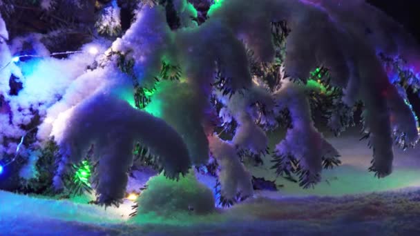 Branche de l'arbre de Noël avec des lumières bleues-vertes festives la nuit Séquence Vidéo