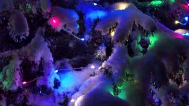Karla kaplı Noel ağacının manzarası. Geceleri şenlikli ışıklar.