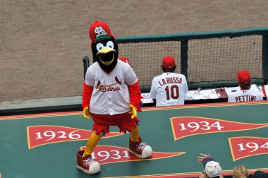 fredbird saint louis cardinals maskotu