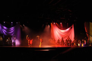 trampetçi çocuk 2011 müzik