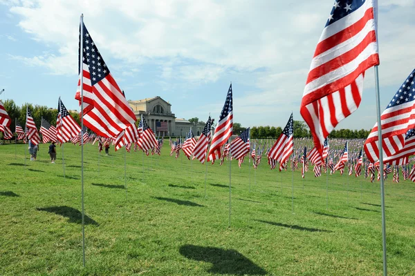 Banderas de Estados Unidos ondeando fuera del Museo de Arte de Saint Louis —  Fotos de Stock