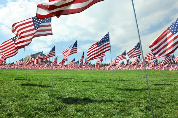 Amerikanske flag vinker uden for Saint Louis Art Museum - Stock-foto