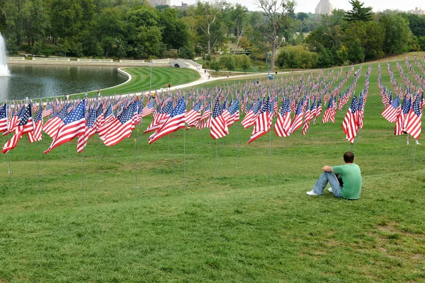 US Flag vinker uden for Saint Louis Art Museum som mand ser O - Stock-foto