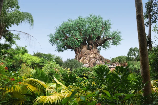 A fa az élet, a Disney World — Stock Fotó