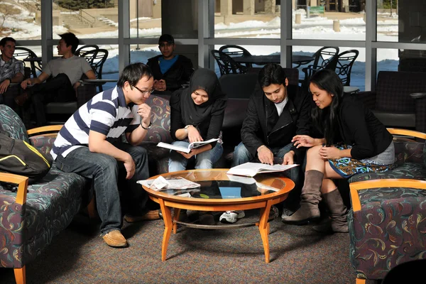 Grupo diverso de estudantes que estudam — Fotografia de Stock