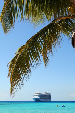 palmiye ağacı dalları ile cruise gemi arka planda