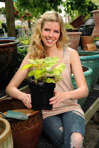 若い女性の保有物の植物 — ストック写真