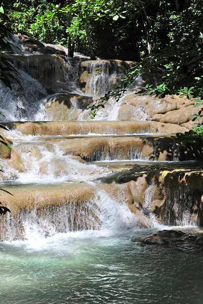 Ocho Rios Jamaika'da Dunn'ın nehir düşüyor — Stok fotoğraf