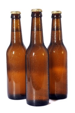 Bira Şişeleri