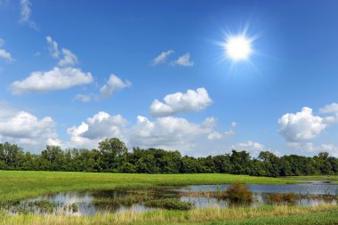 Güneş ile kırsal manzara