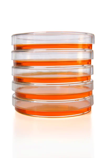 Stack of Petri Dishes — Stock Photo, Image