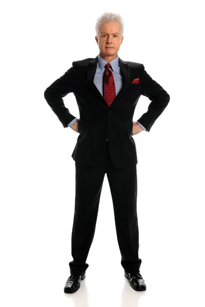 Mature Businessman — Stock Photo, Image
