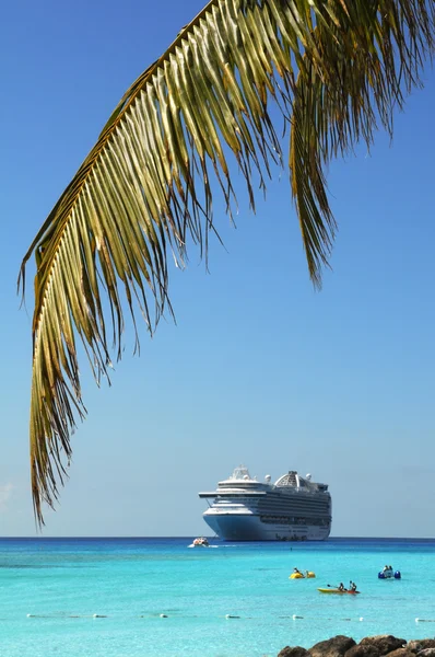 Palm Tree Branch and Cruise ship — Stock Photo, Image