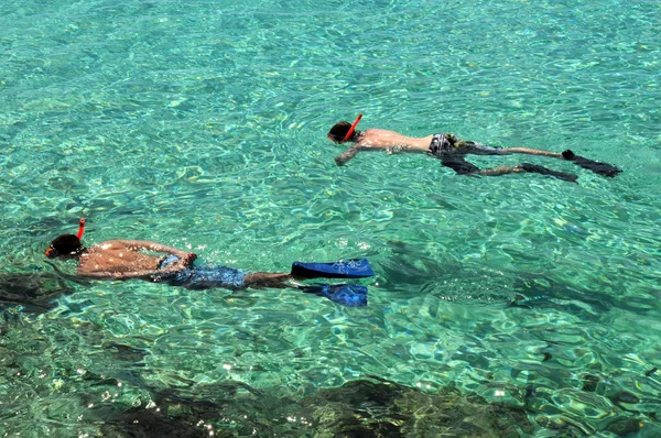 熱帯の海でシュノーケ リング — ストック写真