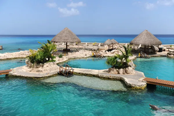 Delfinarium in cozumel mexiko — Stockfoto