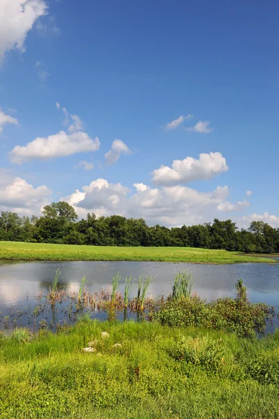 Paesaggio con acqua in primo piano — Foto Stock