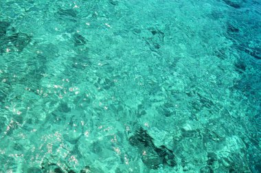 Karayip sığ sularda