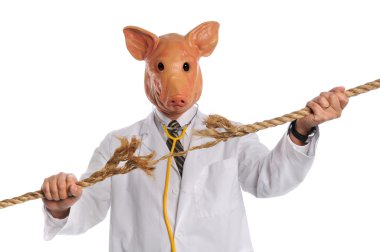 Swine Flu Concept clipart