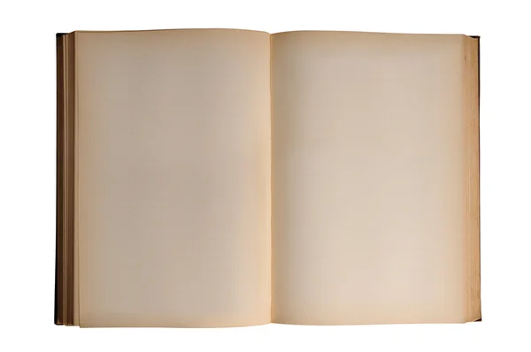 Vecchio libro in bianco — Foto Stock