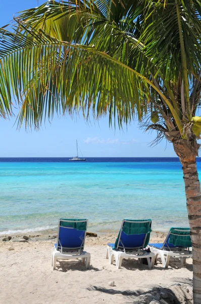 Plage tropicale avec des eaux claires — Photo