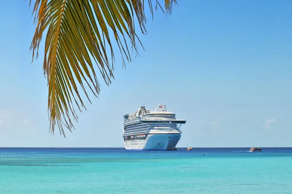 Palm Branch and Cruise Ship — Stock Photo, Image