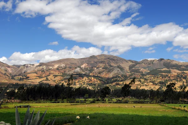 Gebergte in het noorden van peru — Stockfoto