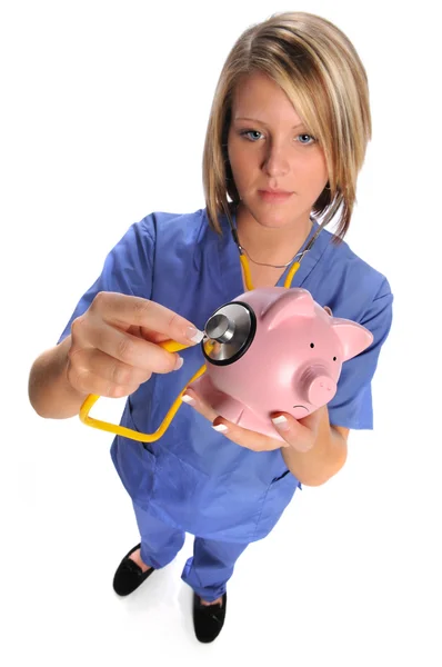 Health Care Professional Checking Swine — Stock Photo, Image